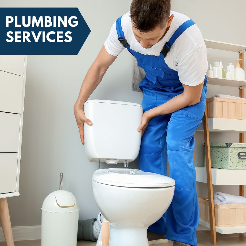 Plumbing Company in Summerfield, FL